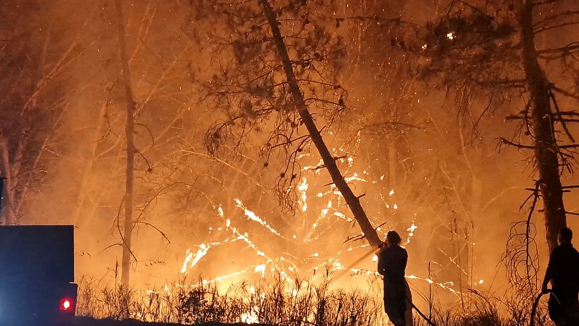 Incendi, Libera Calabria: «Difendere il territorio è una priorità di legalità, non solo ambientale»
