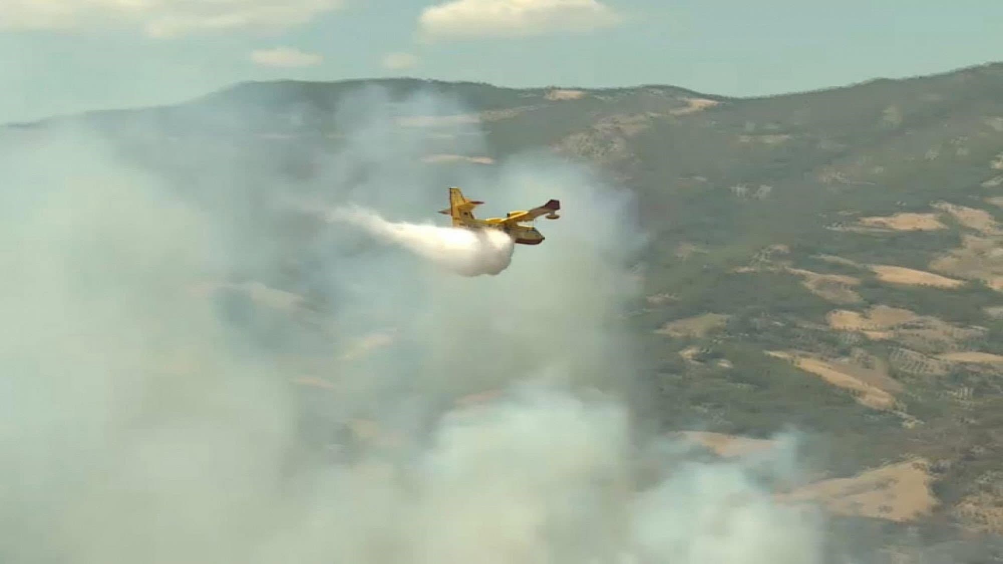 Incendi nel Pollino, il WWF Calabria Citra: «Non sono più emergenze eccezionali, serve una svolta nella prevenzione»