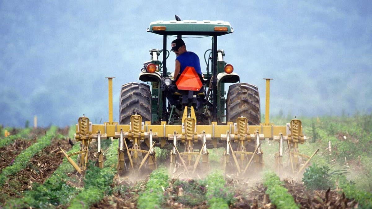 Nuovo contratto agricolo, assemblea unitaria dei sindacati a Castrovillari per presentare il rinnovo 2026-2029
