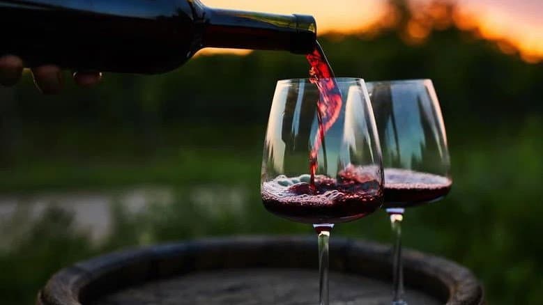 Frascineto nel segno della tradizione arbëreshë: al via la XII edizione della Festa del Vino