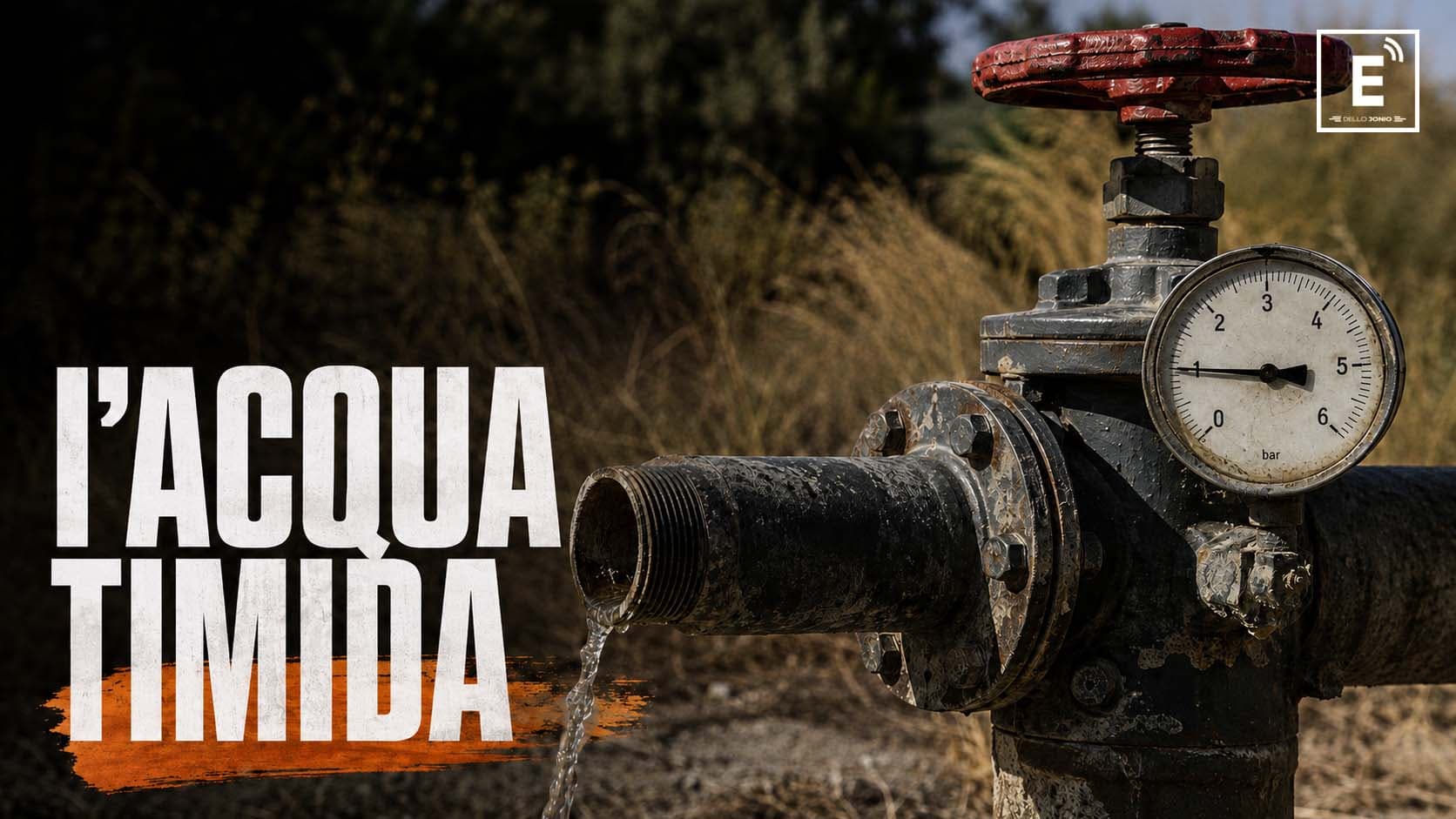 Agrumeti della Sibaritide, l’acqua torna dopo la denuncia. Ma arriva con un terzo della pressione