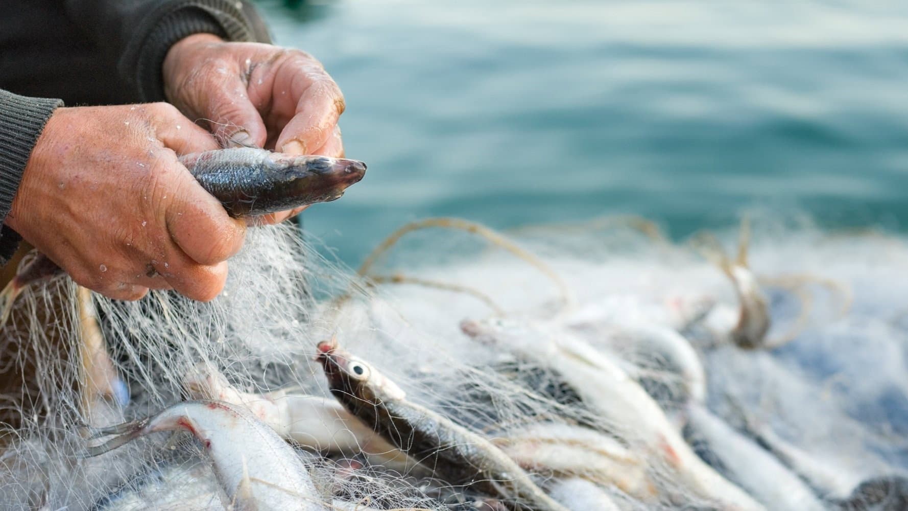 Pesca e clima estremo, tre milioni per i ristori. Unci: «Il Fondo diventi stabile»