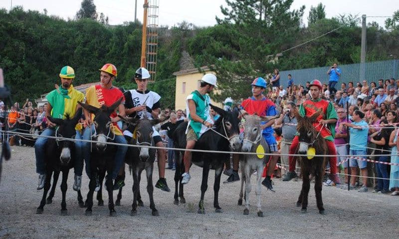 Laino Borgo, torna il Palio cu i ciucci: sette contrade in sfida tra storia, sapori e tradizione
