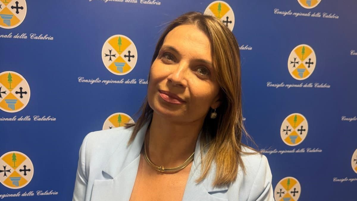 Canali e argini, Madeo avverte: «L’inverno non trovi ancora impreparata la Calabria»