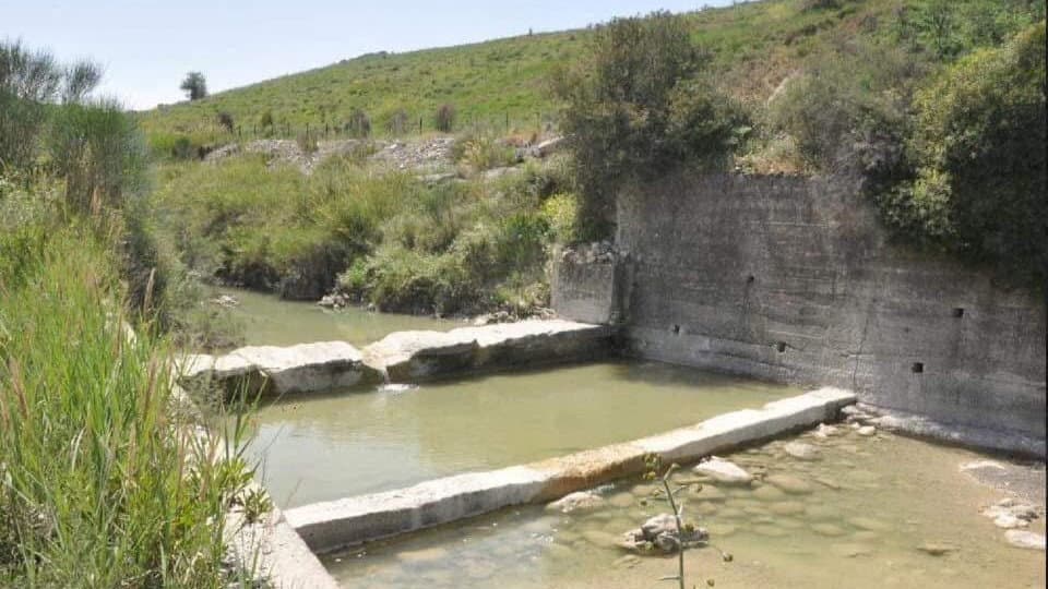 Biovalle del Nicà senz’acqua, l’allarme degli allevatori: «Gli animali stanno morendo di sete»