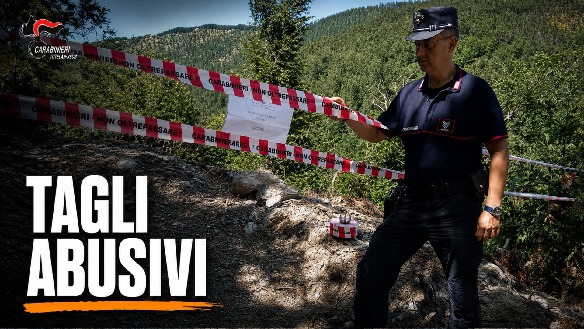 Taglio abusivo nel Parco del Pollino: denunciato titolare di una ditta boschiva