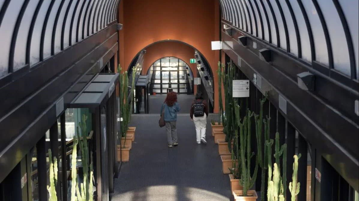 UniCal, oltre mille posti nelle lauree magistrali: domande entro il 10 settembre