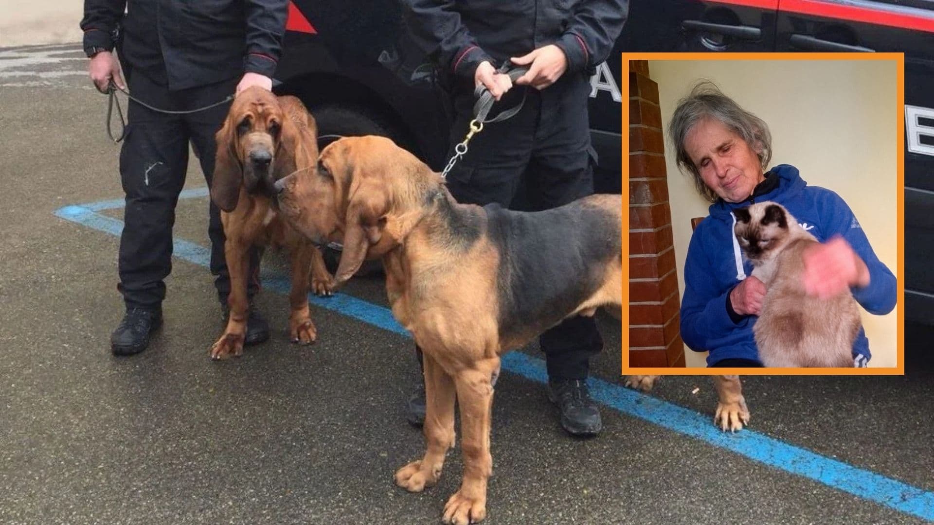 Maria Santandrea ancora dispersa, ricerche estese con cani molecolari e droni