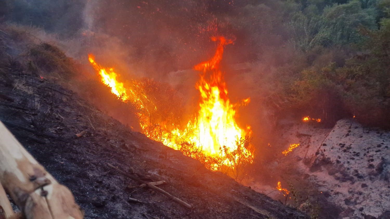 Corigliano-Rossano, domato l’incendio di via Piave: danni contenuti