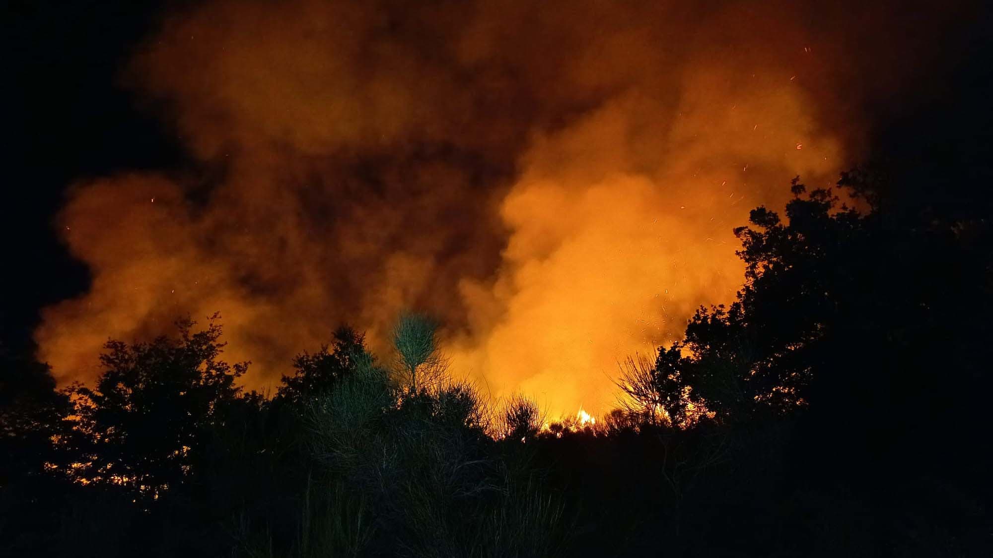 Piana Caruso, notte di paura tra le fiamme: Tagliafuoco impraticabile, a salvare le case anche i volontari
