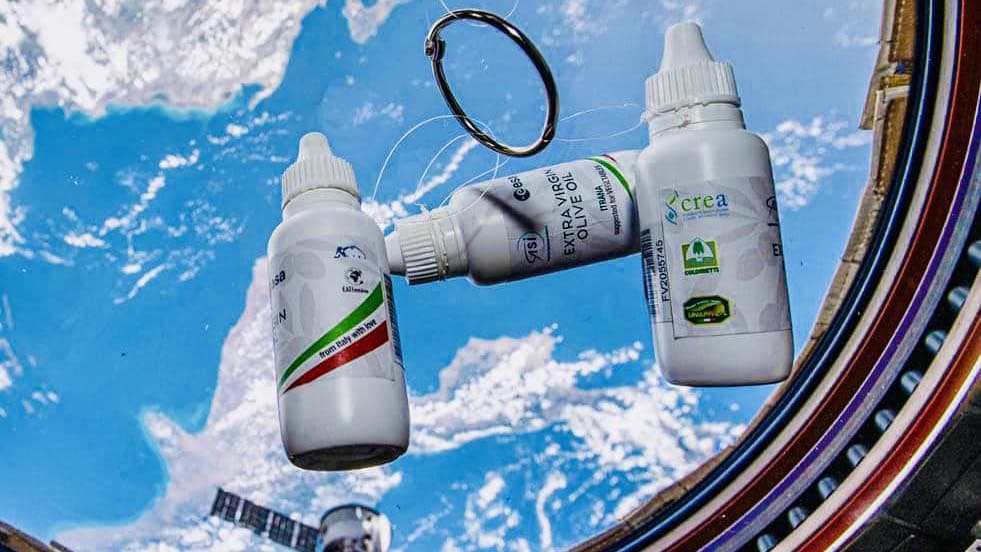 Nel 2022 mandammo l’olio calabrese nello spazio. Adesso forse conviene mandarci direttamente l’ulivo