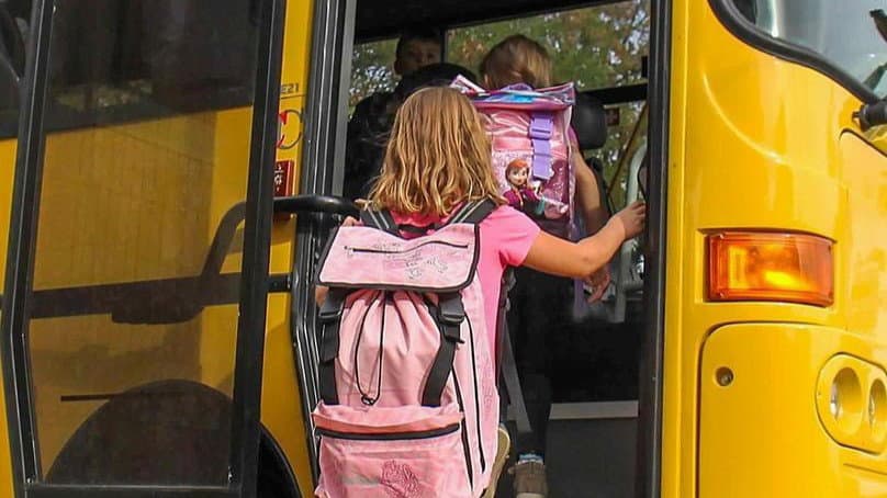 Acquaformosa, nuovo concorso per l’autista scuolabus. La minoranza: «Perché spendere altri soldi per servizio è già garantito?»