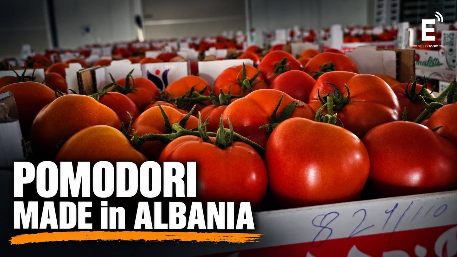 Settembre, mese di conserve. Ma la Calabria è costretta a comprare il pomodoro dall'Albania