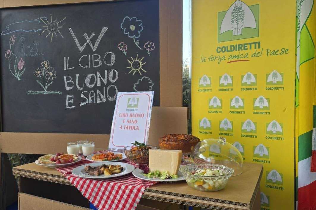 Mense scolastiche, Coldiretti Calabria contro i cibi ultra-processati: «Più prodotti locali nei piatti dei bambini»