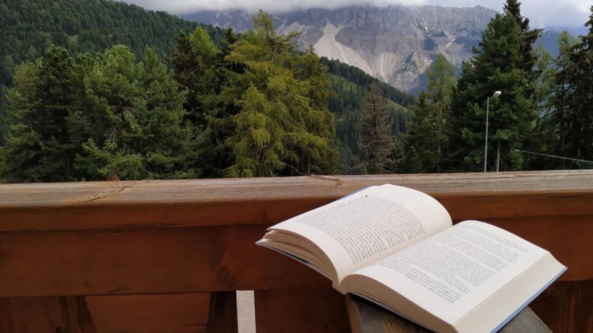Libri in libertà: in Sila la cultura incontra la montagna