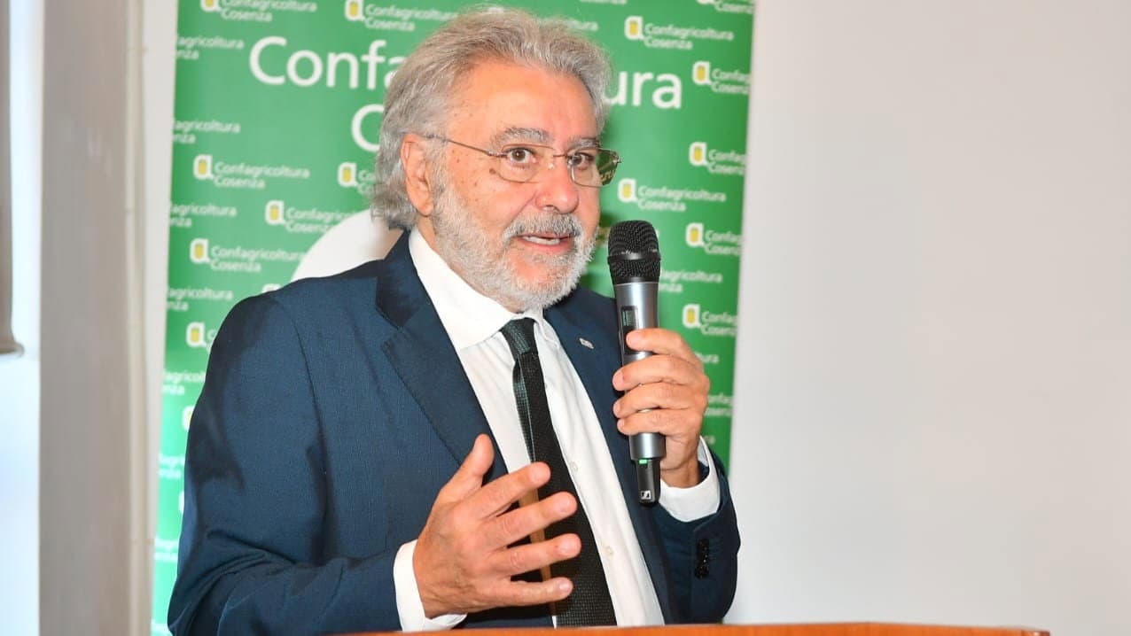 La Calabria produce energia, la sfida è trattenerne il valore. D’Agostino: «Può diventare il nostro punto di forza»