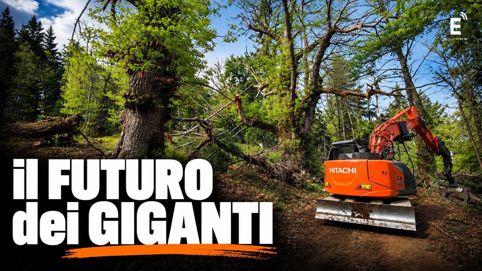 Cozzo del Pesco, riconsegna vicina ma il WWF apre il caso: «E i castagni monumentali?»