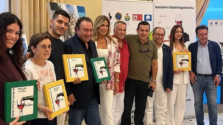 Trebisacce brinda ad Akra Gaia: il rosé di Aglianico e Magliocco vince il Wine Festival Art