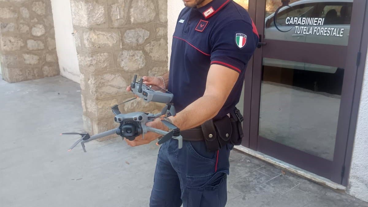 Fuochi accesi durante il periodo di divieto: sanzioni per 90mila euro