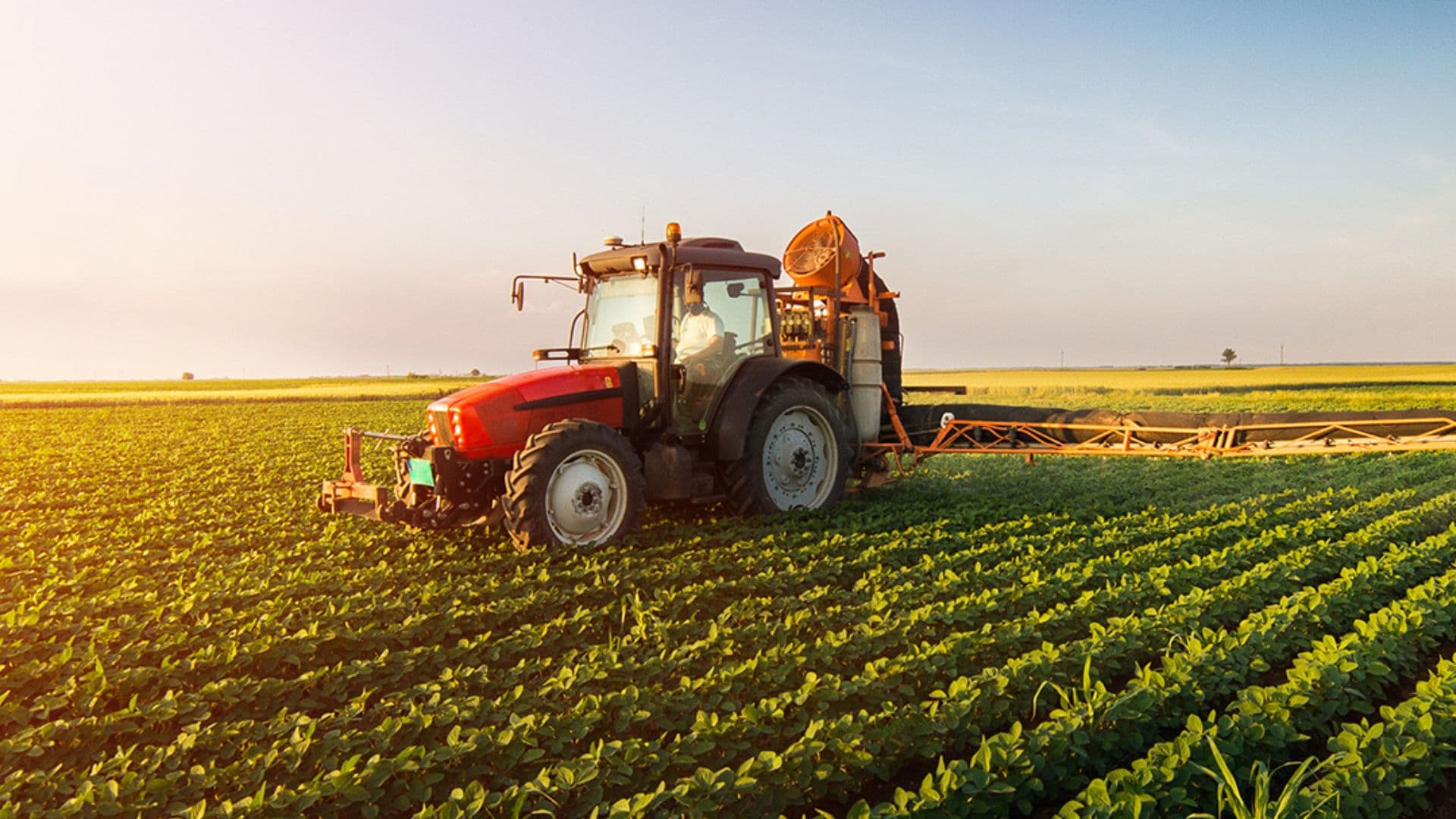 Agricoltura, scatta la mobilitazione: presidi anche a Sibari e Cariati dal 28 settembre