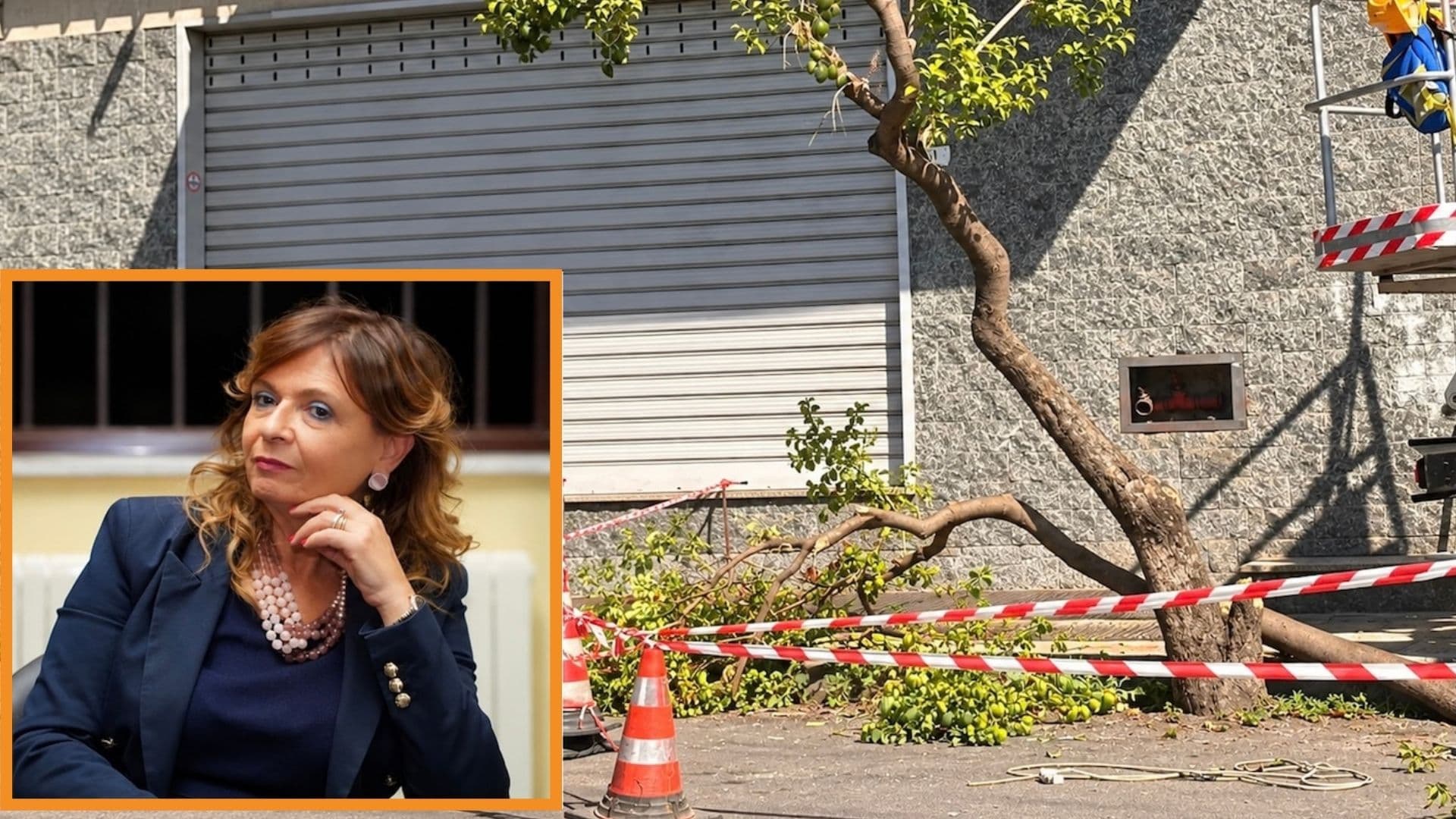 Verde pubblico, FdI incalza Stasi: «Che fine ha fatto il Piano del verde urbano?»